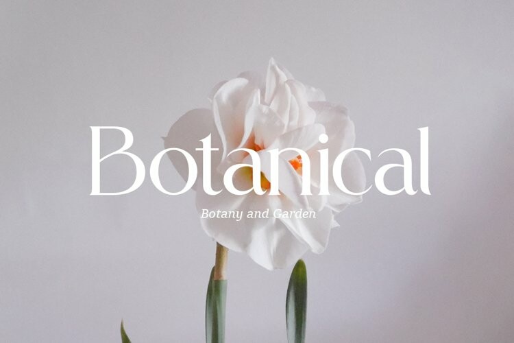 Stract Font