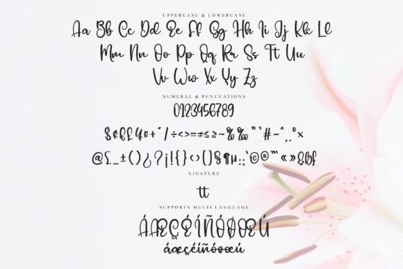 Barbie Dolly Font - Free Font