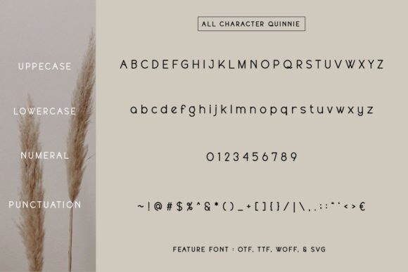 Quinnie Font - Free Font