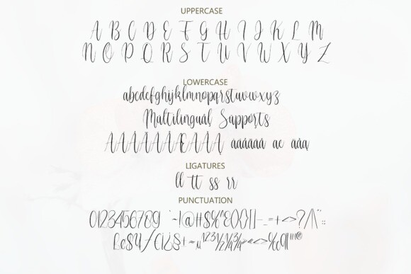 Vignette Cursive Font - Free Font