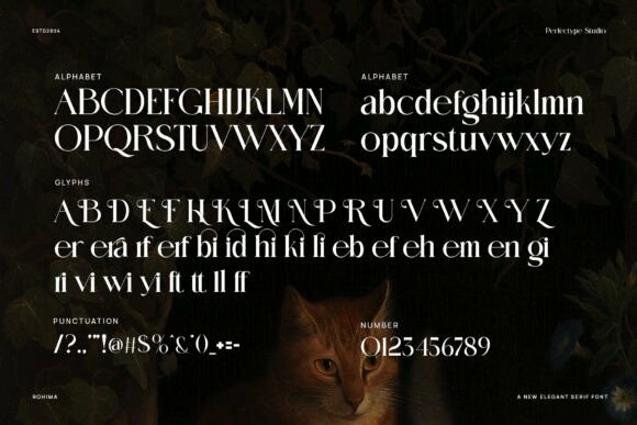 Rohima R Rohima Font - Free Font