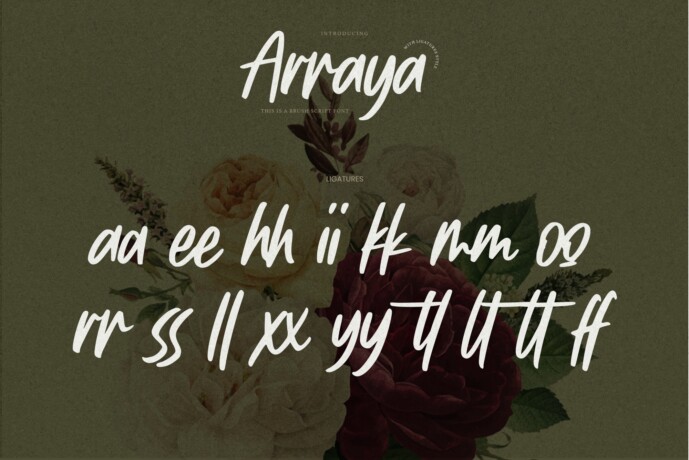 Arraya Font - Free Font
